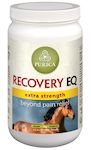 Recovery EQ Extra Strength